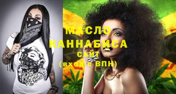 индика Абаза
