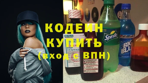 индика Абаза