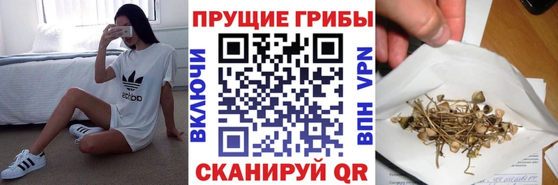 даркнет сайт  Орёл  Псилоцибиновые грибы мухоморы 